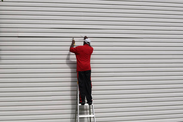Best Vinyl Siding Installation  in Britt, IA