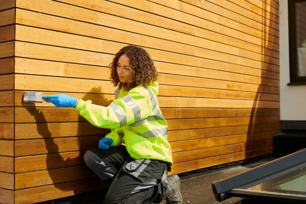 Best Storm Damage Siding Repair  in Britt, IA