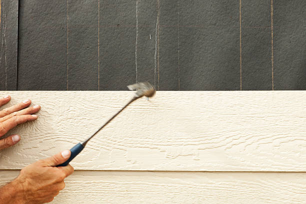 Best Siding Painting and Refinishing  in Britt, IA